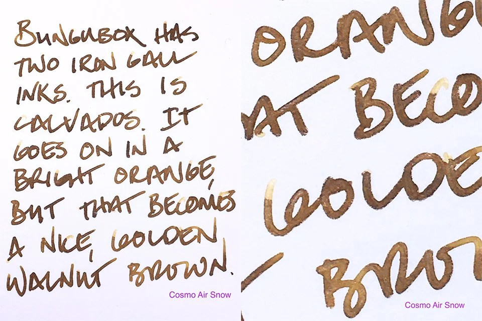 A review of BUNGUBOX Calvados fountain pen ink — Inky Inspirations